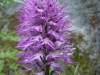 P1110977