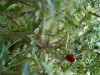 P1110986