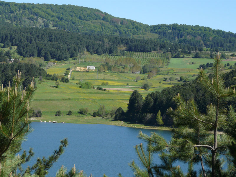 LagoArvo